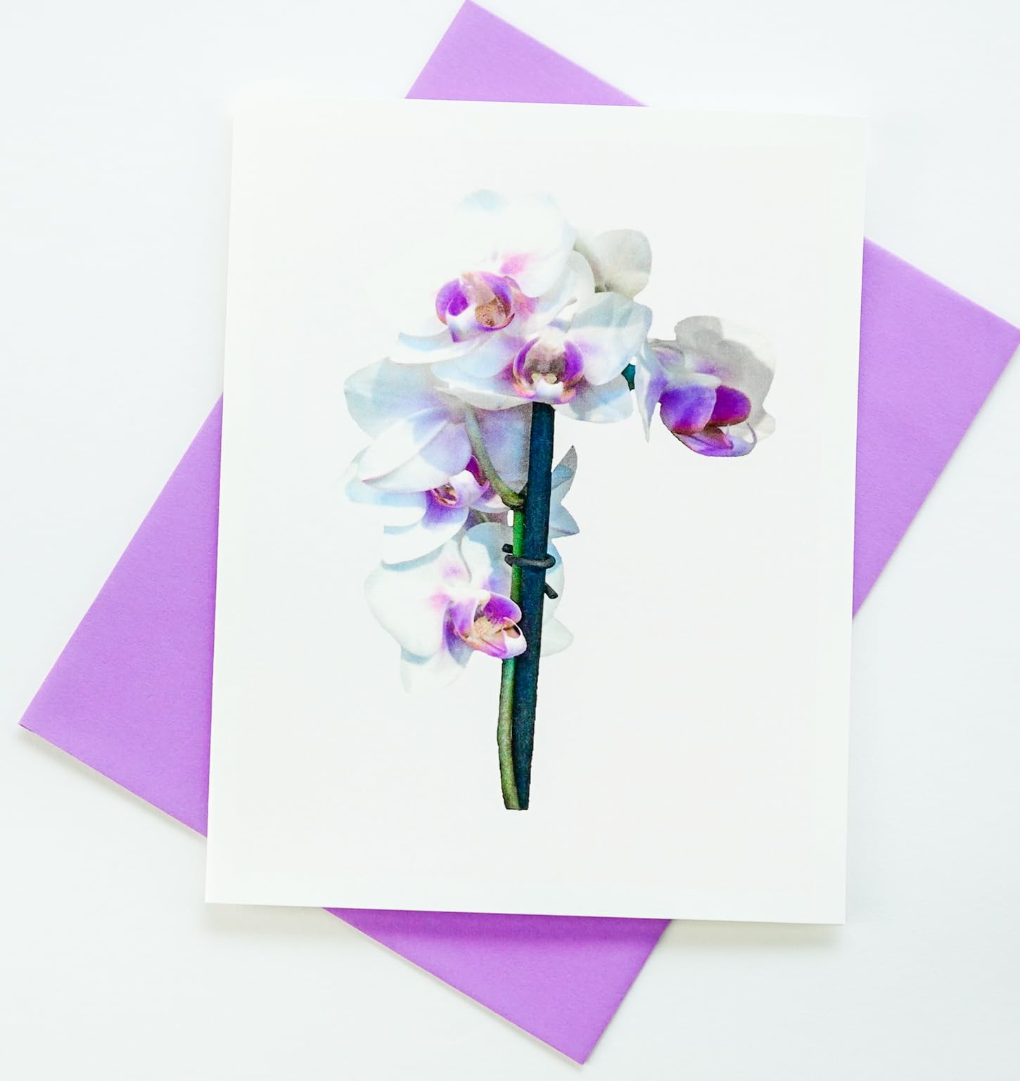 Sunshine Expressions Orchid Photographic Heavy Smooth Note Cards 8 w/10 Colored Envelopes, Boxed Set (4.25"x 5.50") Blank Inside - Made in USA