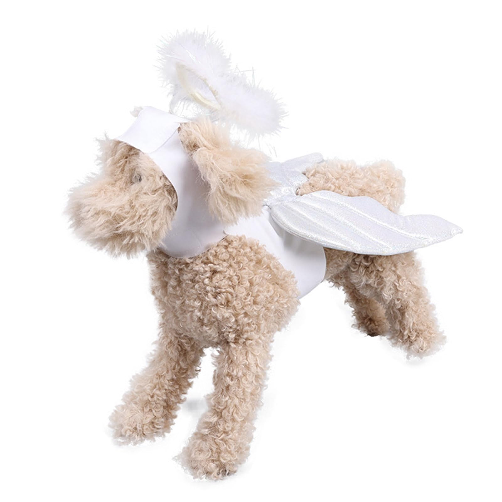 Sharplace Ailes De Chien Ailes De Dragon Costumes D'halloween Pour Chat Accessoires Photo Amusants Pour Fête D'anniversaire De Noël Pour Petits, Moyens Et, S