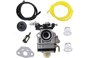 Viza Viper Zooma 2-Stroke Scooter Carburetor