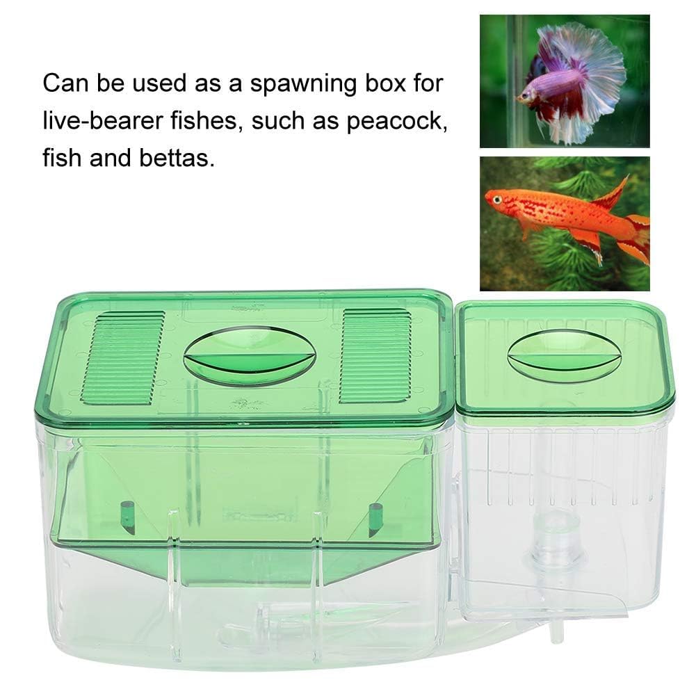 Aquarium Fish Tanks Zuchtbox Fischzuchtbox Isolationsbox Doppelschicht Braten Brut Brut Inkubator Aufzucht Box Isolation Inkubator