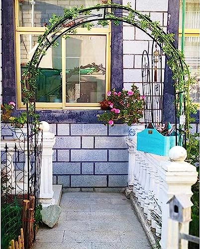 Arche de jardin en métal robuste et tonnelle pour plantes grimpantes