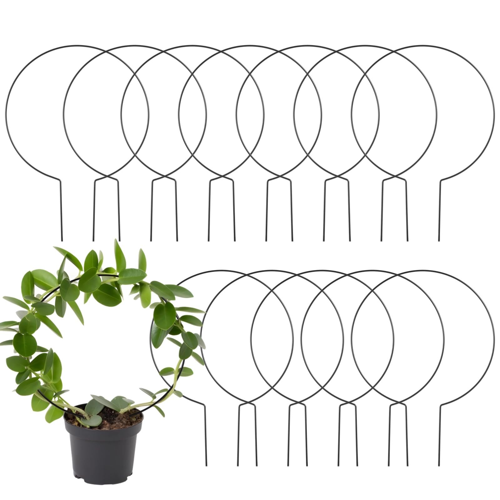 Calolin 12 PCS Circle Trellis for Climbing Plants, 13.4 x 9.4 Inches Metal Round Trellis for Potted Plants, Small Indoor Plant trellis, Rustproof Black Metal Support Frame for Vines Hoya Pothos