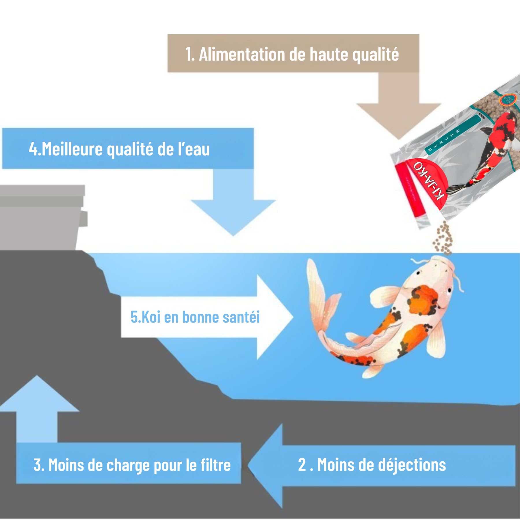 Health Koi Nourriture pour poissons koï 3 kg / 6 mm. Granulés pour une bonne digestion des poissons koï avec Actigen pour soutenir le système immunitaire et Forplus (algues riches en oméga-3)