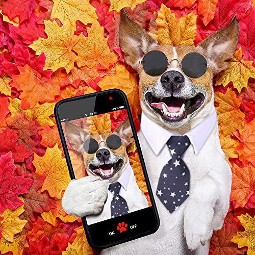 Cats Tie With Doll Sunglasses 4 Pieces Cat Necktie Puppy Tie Adjustable Cat Bowtie Costume Cute Pet Collar For Small Dogs And Cats Pedomus #TOP5