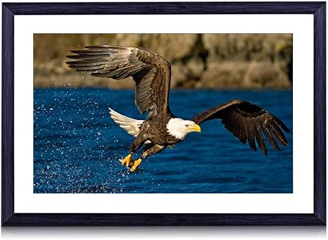 Amazon Co Jp アメリカの白頭鷲 動物 7048 絵画 装飾画 壁飾り アートパネル インテリアアート 木製の枠 壁ポスター モダン 現代壁の絵 額縁付きの完成品 横 40 60cm ホーム キッチン Amazon Co Jp アメリカの白頭鷲 動物 7048 絵画 装飾画 壁飾り アートパネル インテリアアート 木製の枠 壁ポスター モダン 現代壁の絵 額縁付きの完成品 横 40 60cm ホーム キッチン