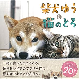柴犬ゆうと猫のとろ