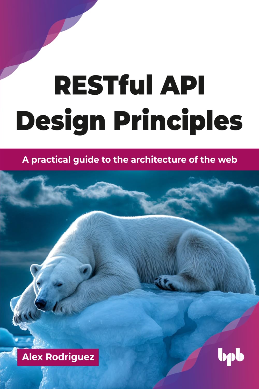 RESTful API Design Principles: A practical guide to the architecture of the web (English Edition)