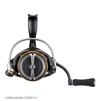 DAIWA CALDIA LT2500 ＆ SLP WORKS LTα2500S Daiwa 25 Caldia FC LT2500S-H | eBay Australia