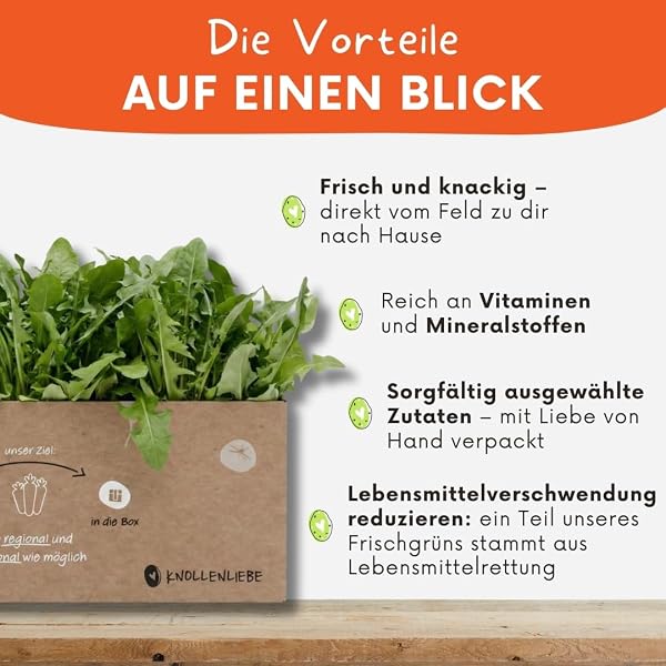 Frischer Löwenzahn 1 kg für Kleintiere & Nager – Naturbelassenes Frischfutter aus der Pfalz | Winteralternative Catalogna| Delikatesse für Kaninchen & Meerschweinchen - 3