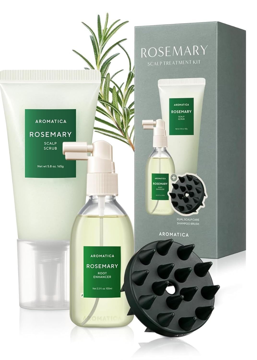 Amazon.com: AROMATICA Rosemary Scalp Care Gift Set with Dual Brush