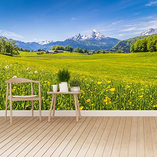 Papier peint protection 250x104cm Tulup pour masquer un mur abîmé
