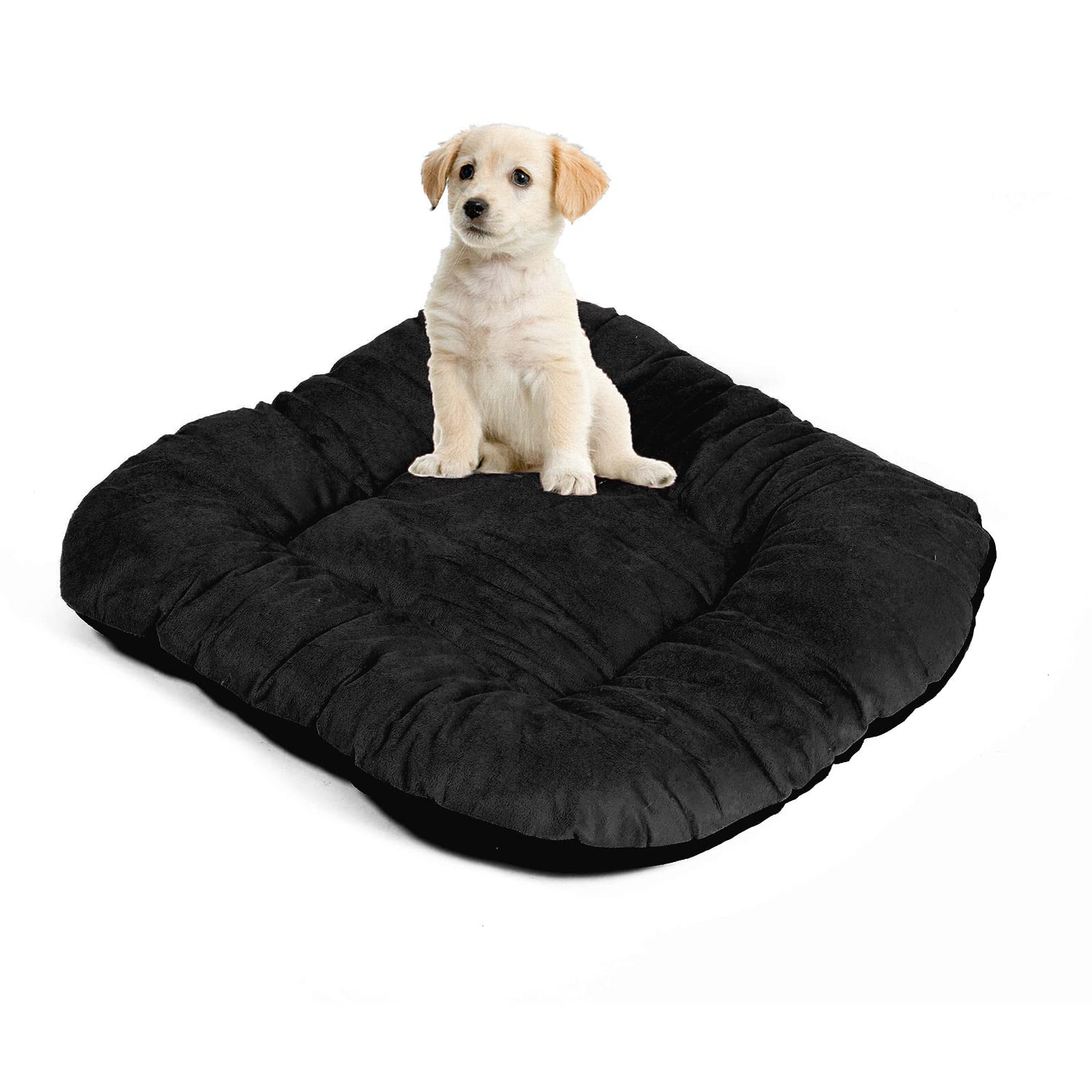 See full amazon price history chart for M-TEXITO Dog Bed, Cat Beds for Indoor Cats, Pet Bed for Puppy and Kitty, Extra Soft & Machine Washable (M, Black) M-TEXITO Dog Bed, Cat Beds for Indoor Cats, Pet Bed for Puppy and Kitty, Extra Soft & Machine Washable (M, Black) (B0C2CYVJV6) Amazon Price History, Amazon Price Tracker