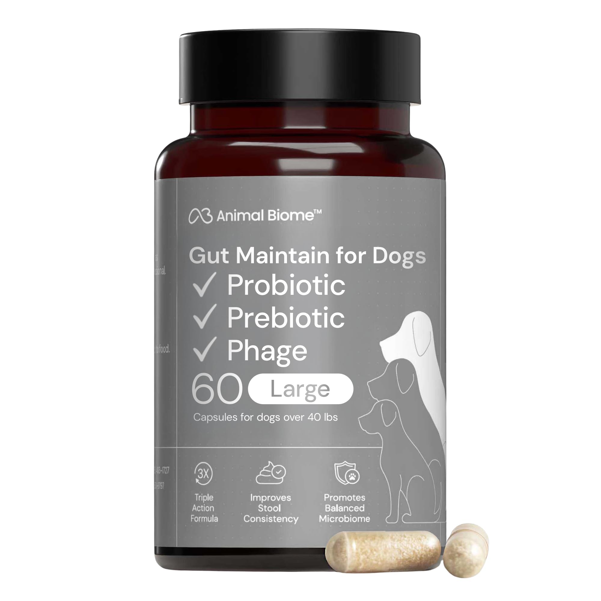 Animal Biome Large Dog Pre and Probiotics, S Boulardii, Gut Maintain, 60 Ct