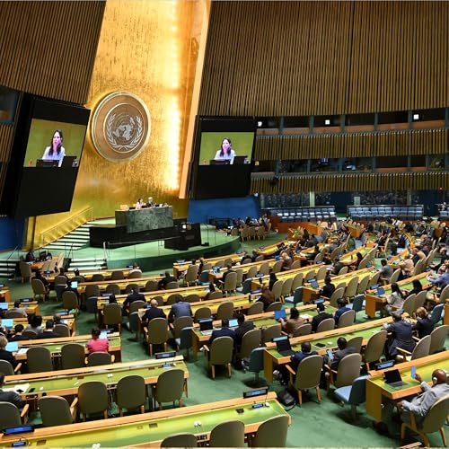 Page de couverture de The Evolving Relationship Between the U.S. and the U.N.