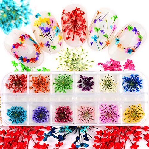Kit 24 piezas flores secas para manualidades y decoración miniatura 4