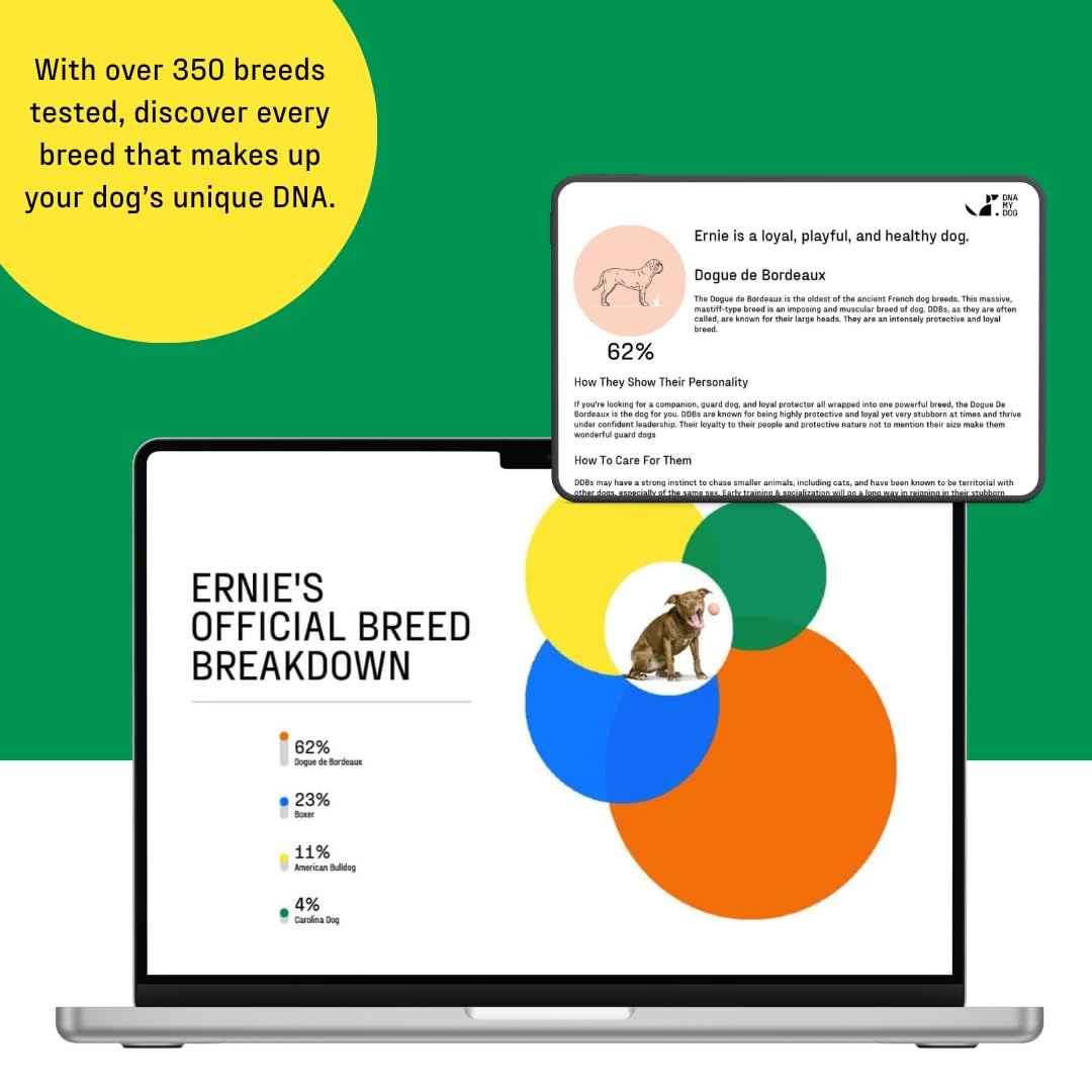 DNA My Dog Test identyfikacyjny rasy psów