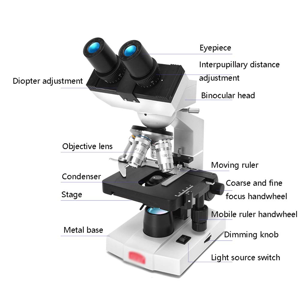 Condensatore di Illuminazione con Lente d'Ingrandimento per microscopio Composto per Laboratorio didattico, Kit scientifico per hobbisti