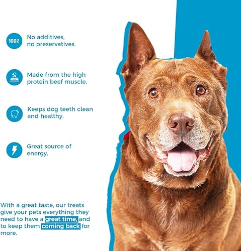 Miniatura 5 de GrubTerra Natural Beef Dog - Golosinas dentales para perros, hechas en Estados Unidos, bocadillos saludables para perros, sin granos, con alto
