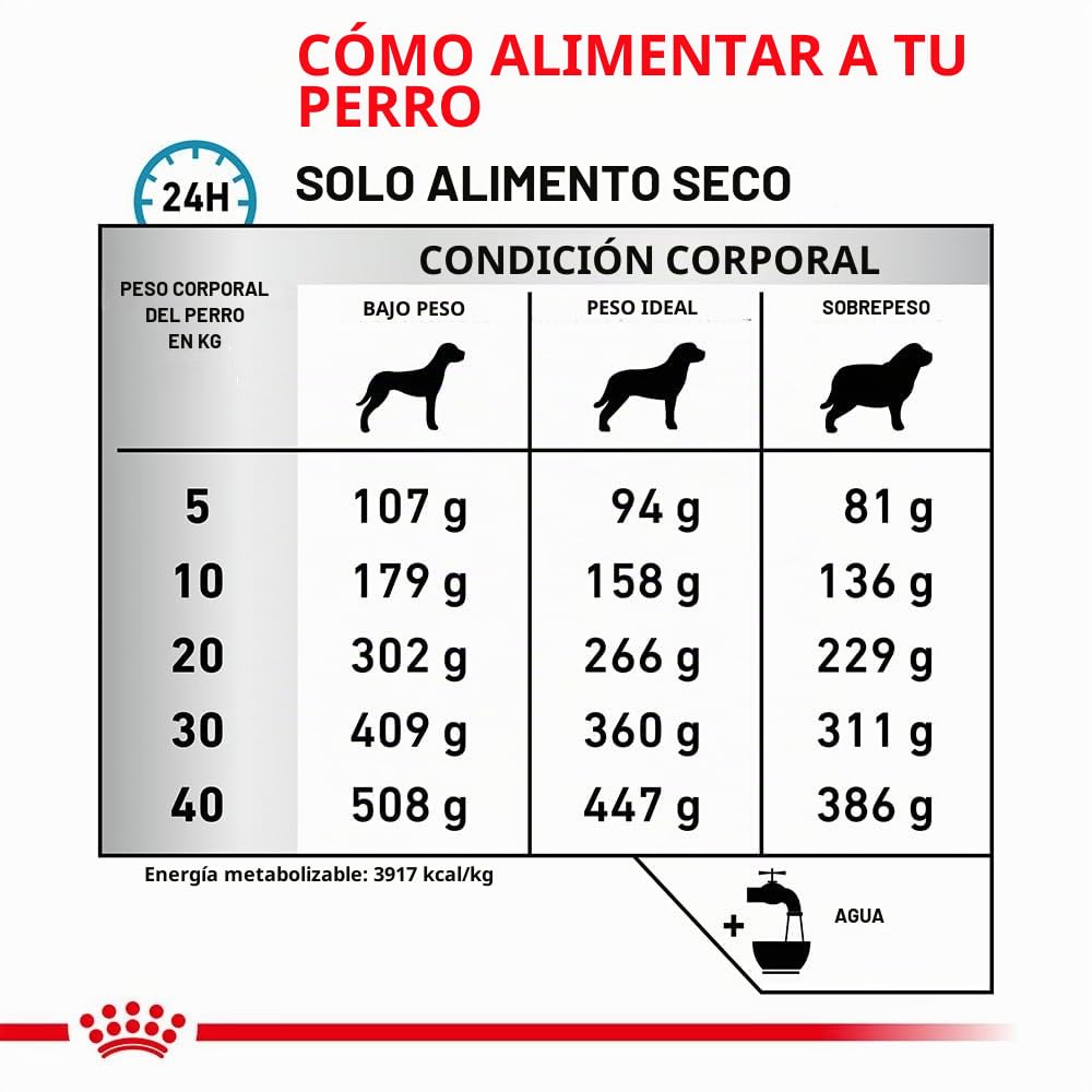 Royal Vet Canine ANALLERGENIC 8KG