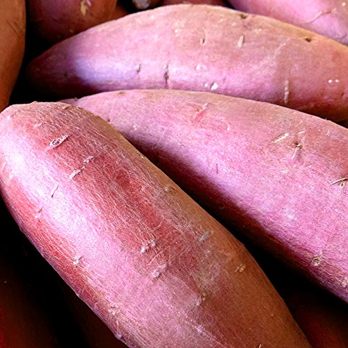 茨城産シルクスイート 2L×2kg A等級