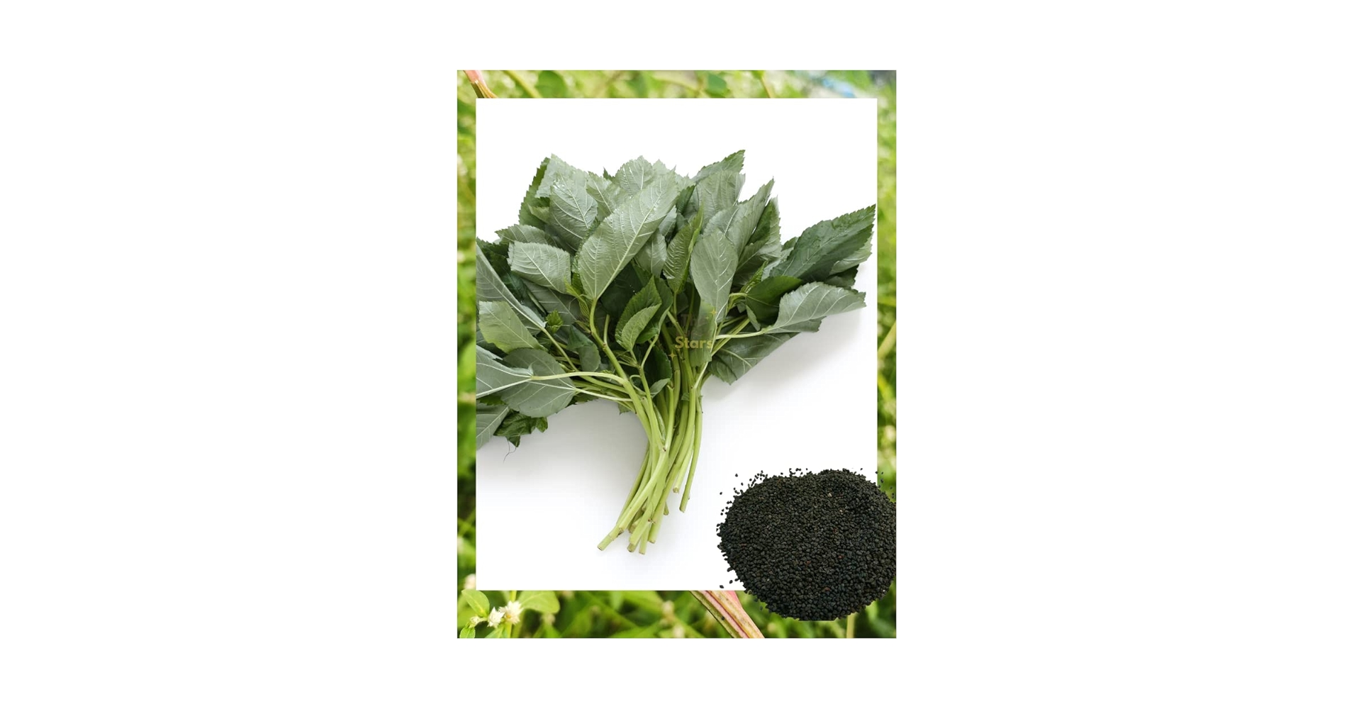 Orgazmni onanizm qilayotgan qizlar videolari