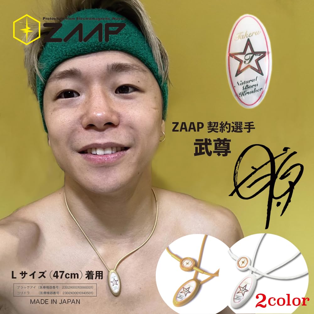 武尊 3階級制覇限定モデル ZAAP ネックレス Amazon.co.jp: [ZAAP] Slico ネックレス 武尊 コラボ 医療機器搭載