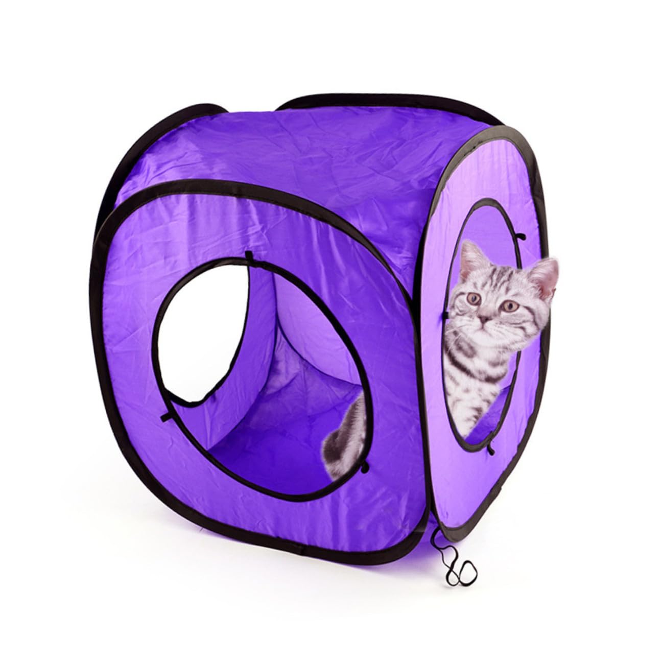 Alasum 3 Stück Katzentunnel Spielzeug aus Robustem Polyester und Stahl Draht mit Reißfestem Rahmen Violett Faltbar für Interaktives Kätzchen Spiel und Beschäftigung