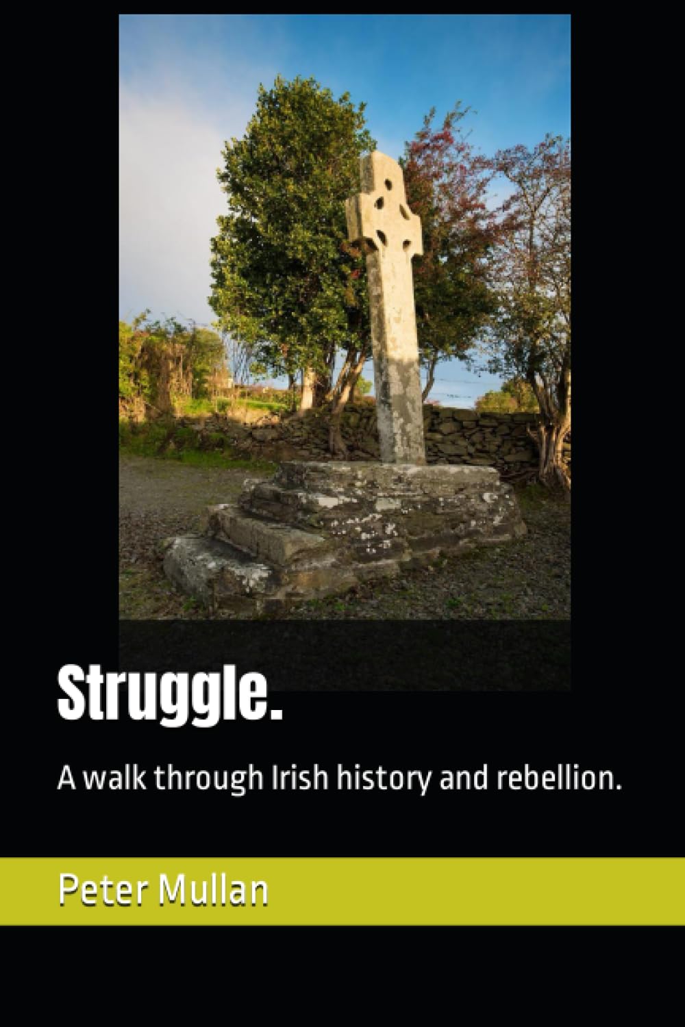 Struggle.: A walk through Irish history and rebellion.
