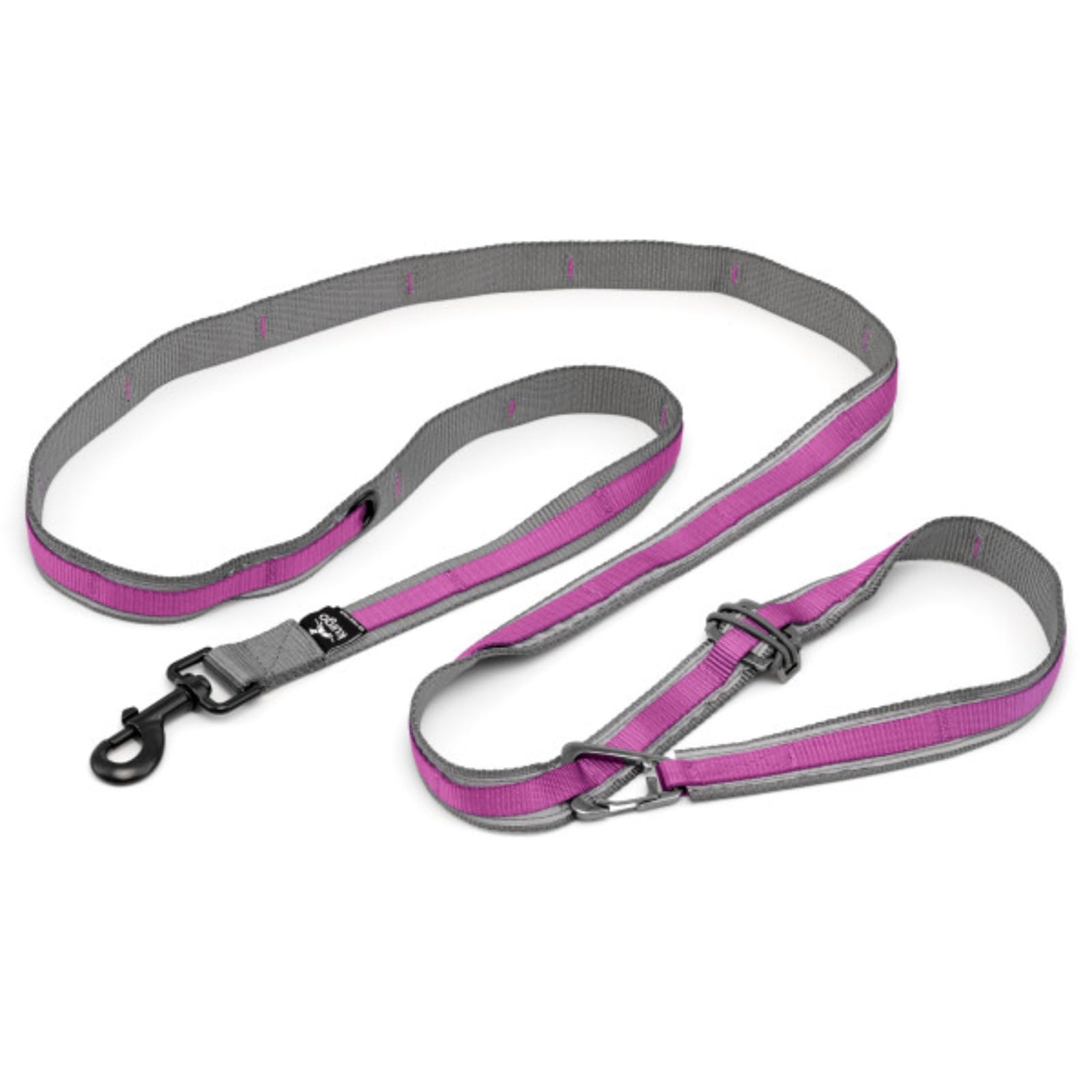 Quantum 6 in 1 Dog Leash, Purple | Hands Free Leash Converts to Waist Belt, Over Shoulder, Double Leash, Tether, 6ft or 3ft Lead, Reflective, Carabiner Clip