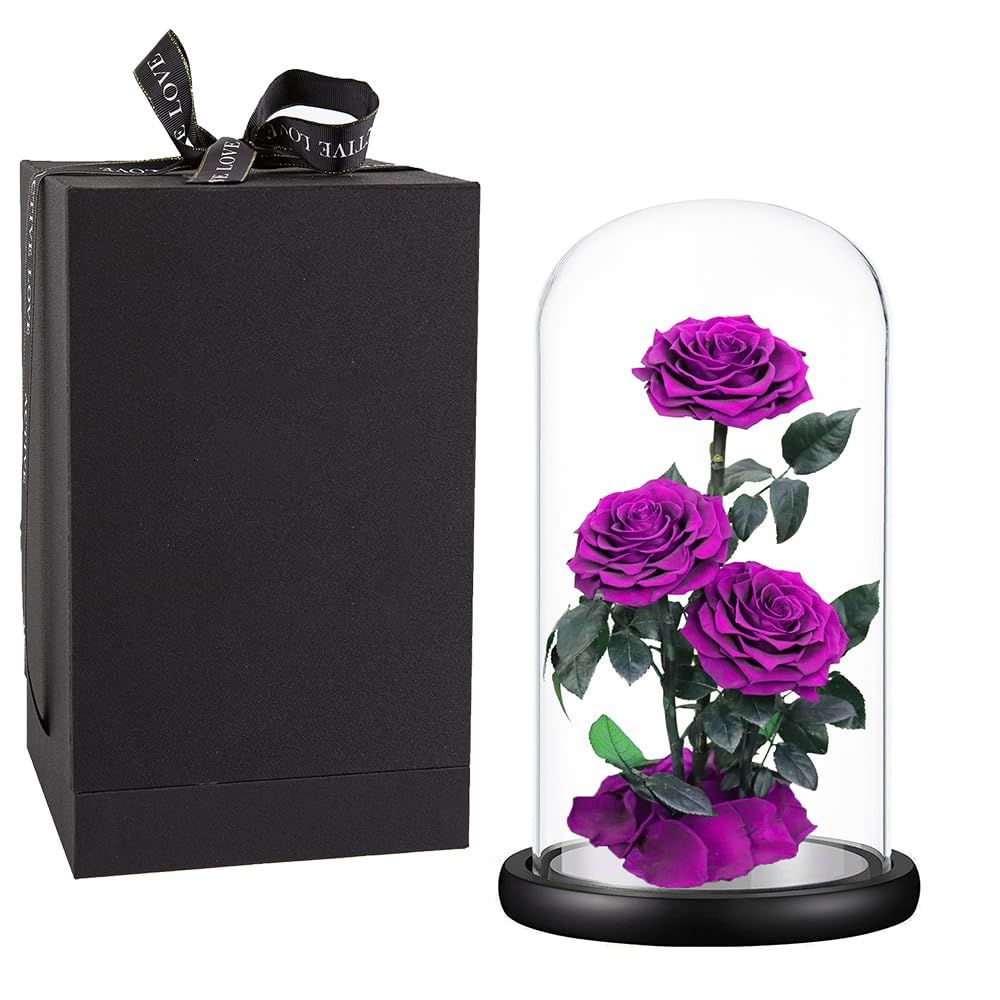 Perfectione Roses Women's Purple Roses Handmade Preserved Real Rose In Glass Dome, Long Lasting Roses Never Withered Gifts For Her, Valentine's Day, Mother's Day, Birthday, Christmas, Anniversary(13 Inch)