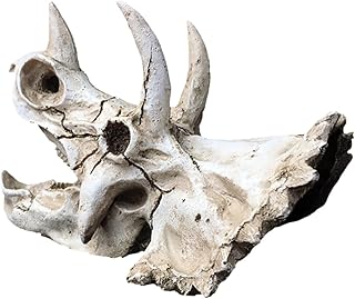 TEHAUX Esconderijo Casa Decoração Ao Ar Livre Ornamento De Caveira De Aquário Ornamento De Esconderijo De Peixe Lagarto Terrário Resina Decoração De Caveira Artificial Decoração De Casa