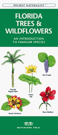 Pioneer Externer Blu-ray Brenner - 4K Ultra HD Wiedergabe, USB-C, Inkl. Cyberlink Software