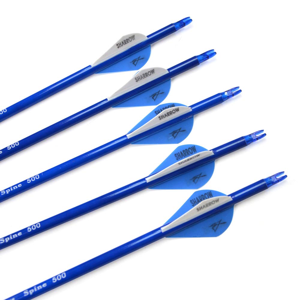 12pcs frecce in Carbonio tiro con L'Arco 30 Pollici Spine 500 frecce da Caccia con Punta di Freccia Rimovibile da 100 grani per Arco ricurvo Arco Composto da Caccia all'aperto