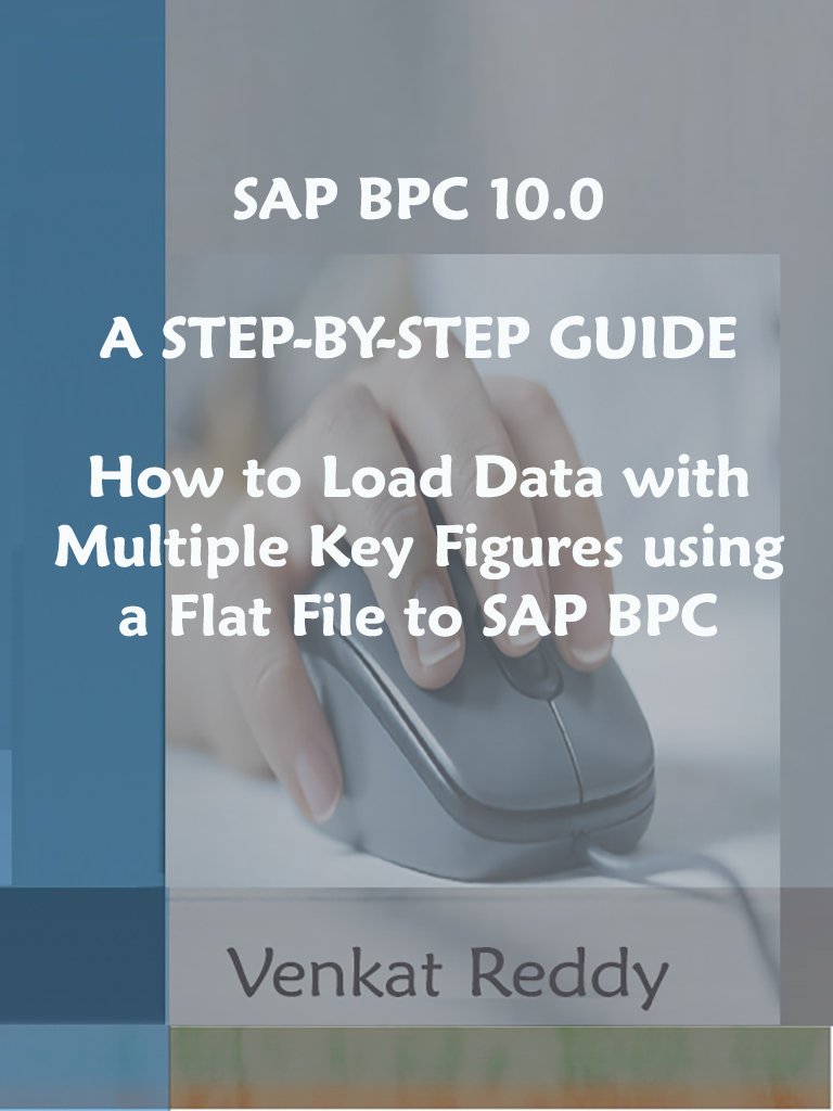 Buy SAP BPC 10.0 A STEP-BY-STEP GUIDE: How to Load Data with Multiple ...
