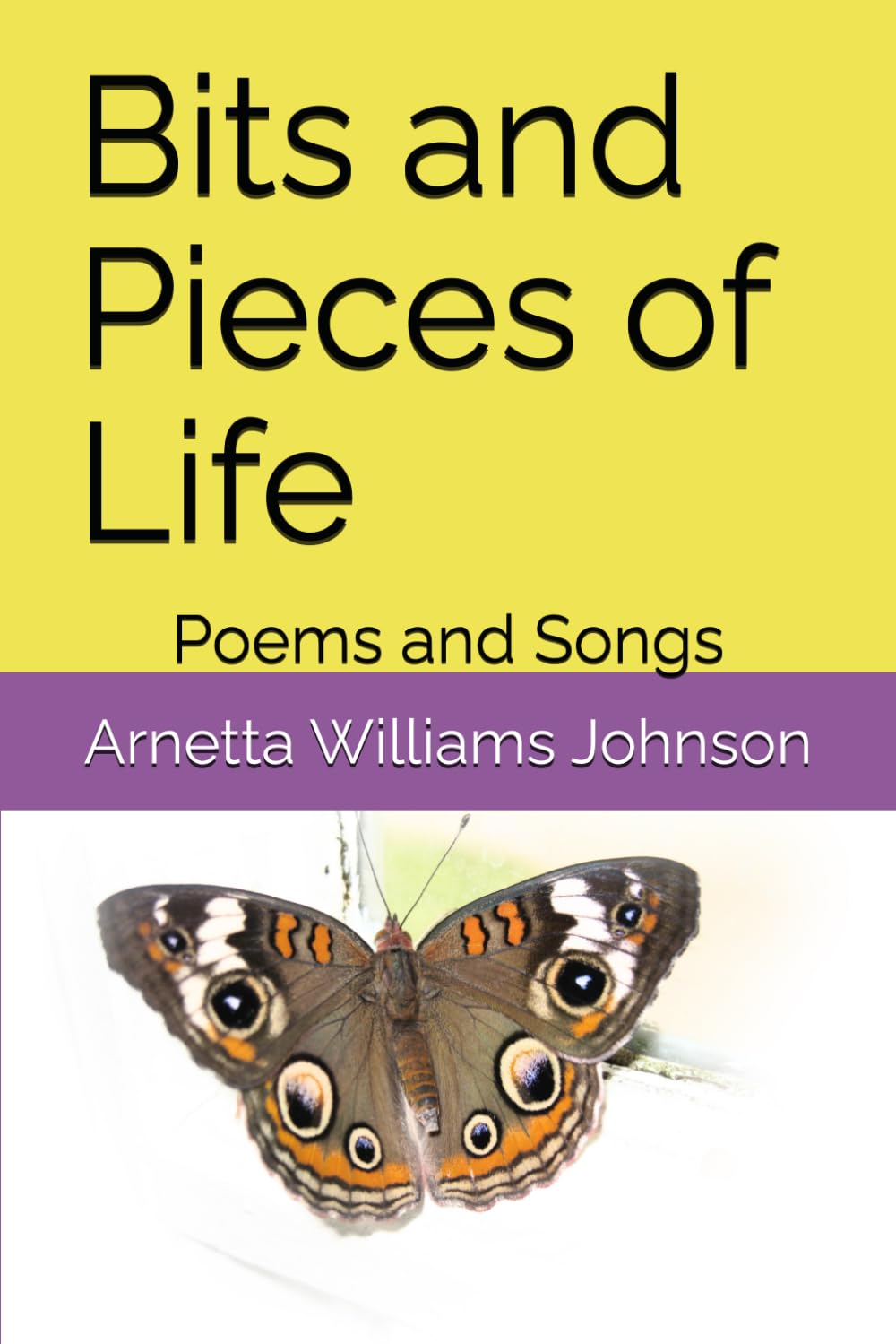 Bits and Pieces of Life: Poems and Songs