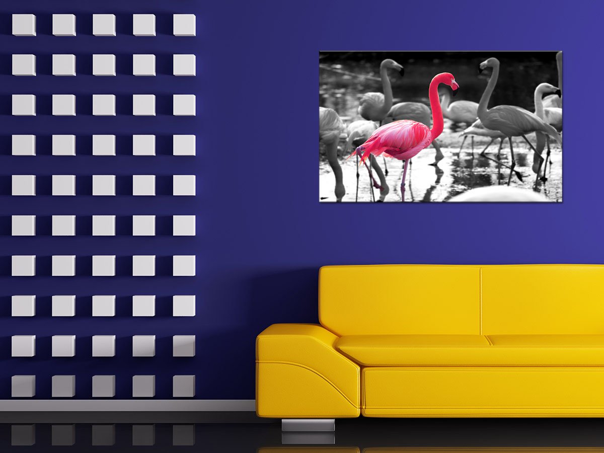 DECLINA, Quadro Decorativo da Parete per Soggiorno Moderno, Quadro Decorativo da Parete, Tela Decorativa con Fenicotteri Rosa 50 x 30 cm, Canvas, Nero e Bianco, 120x80 cm