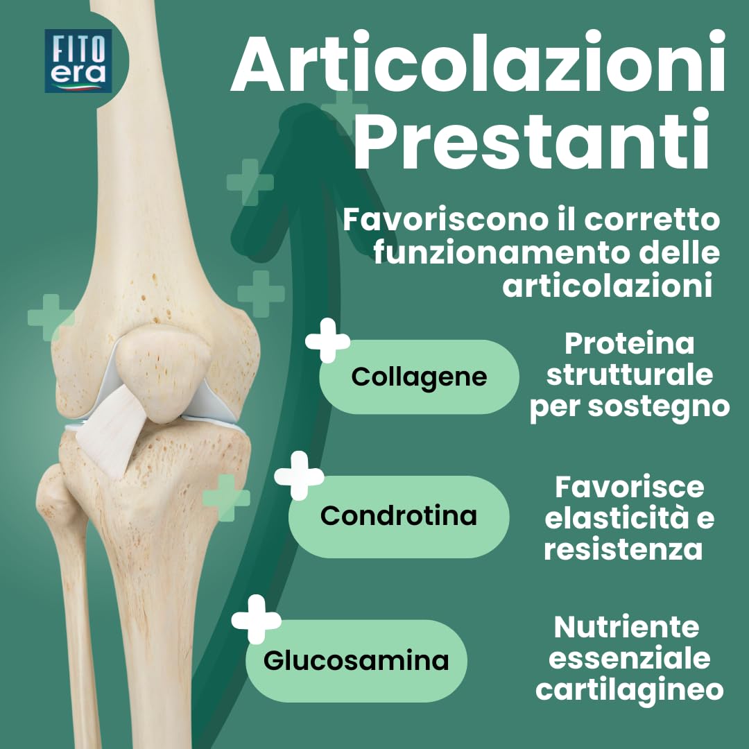 FITOERA MIOVIT ARTICOLAZIONI 400g – Collagene, MSM, Glucosamina per Sollievo Articolare, Dolori e Mobilità – Integratore Ossa e Cartilagini – Made in Italy