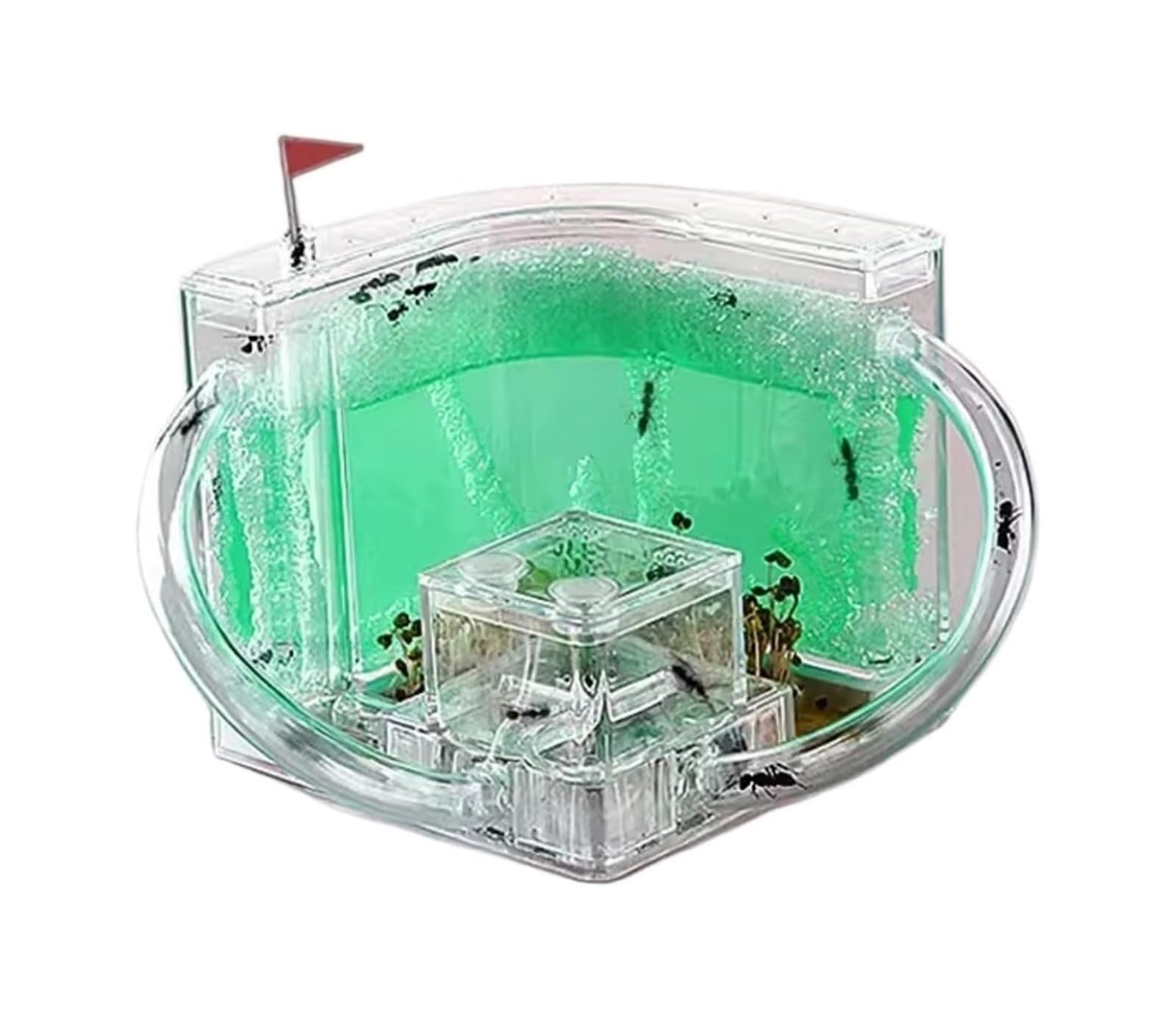 Acrylic Ant Castle