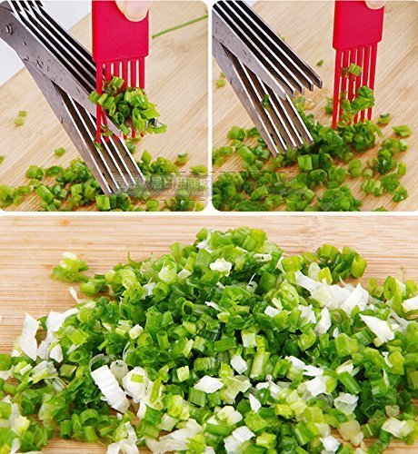 Urdhvamurti Multifunction 5 Blade Vegetable Stainless Steel Herbs Scissor with Blade Comb-image-11