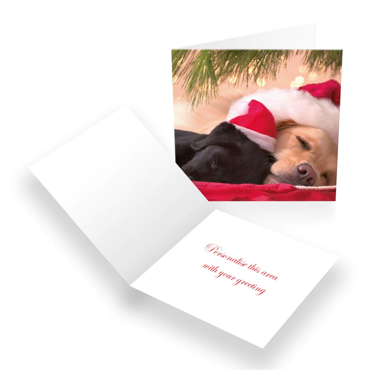 Paper Themes Personalised Christmas Cards Pack of 20- Snooze