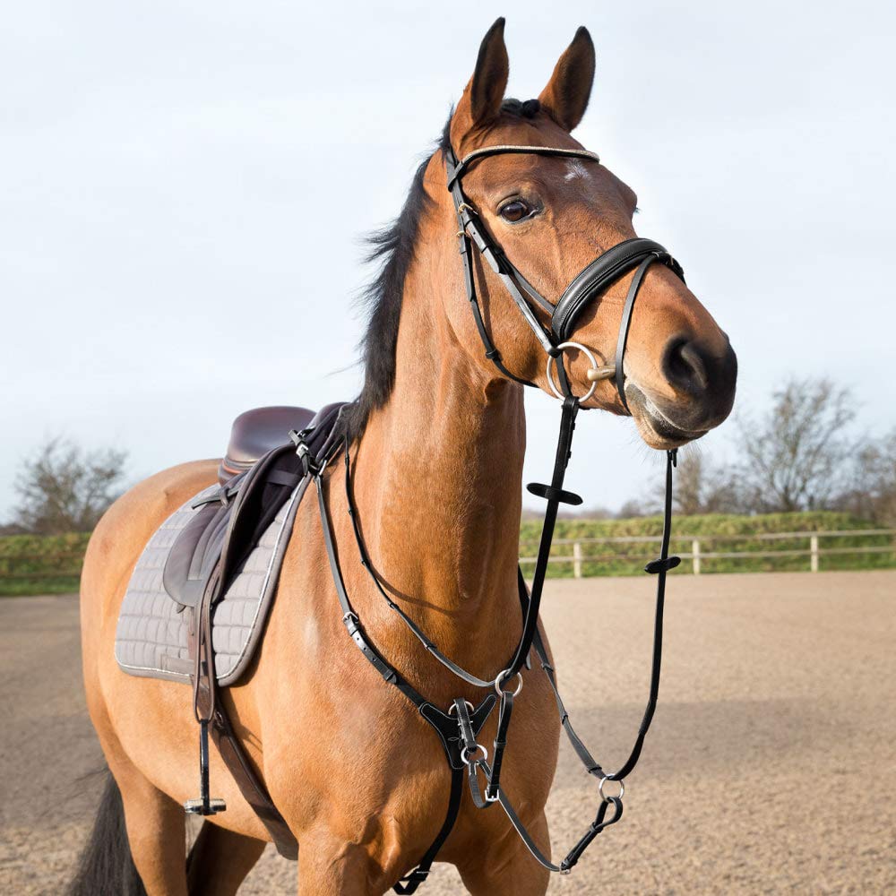 HORZE Collier de Chasse réglable