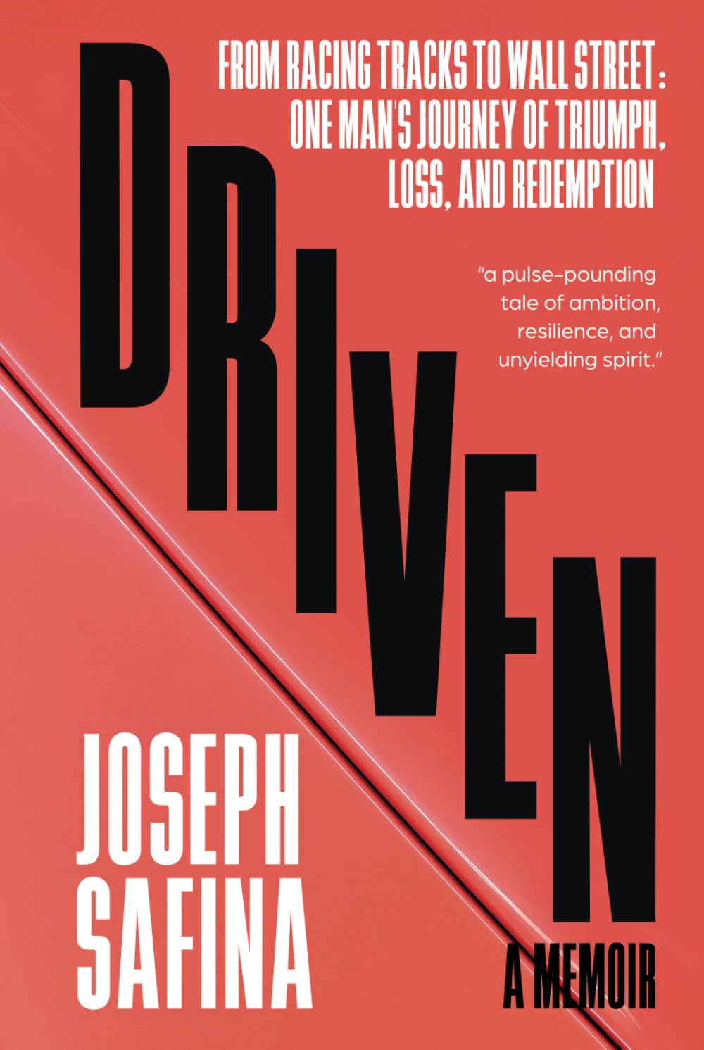 Driven: From Racing Tracks to Wall Street: One Man's Journey of Triumph, Loss, and Redemption