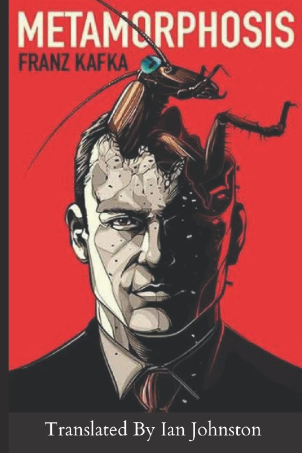 The Metamorphosis: Translated By Ian Johnston Paperback – 15 Feb. 2022