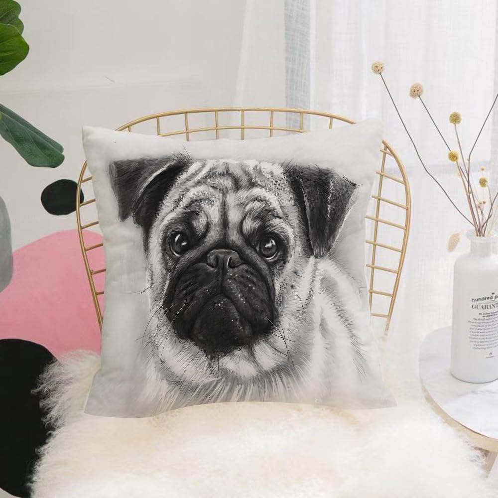 HYOSXW Cushion Cover,Throw Pillow Case Home Decorative for Living Room Bedroom Sofa Chair 16X16 Inch,Animal, a sketch portrait of a black and white pug, showing its unique facial t,Pillowcase 40X40cm