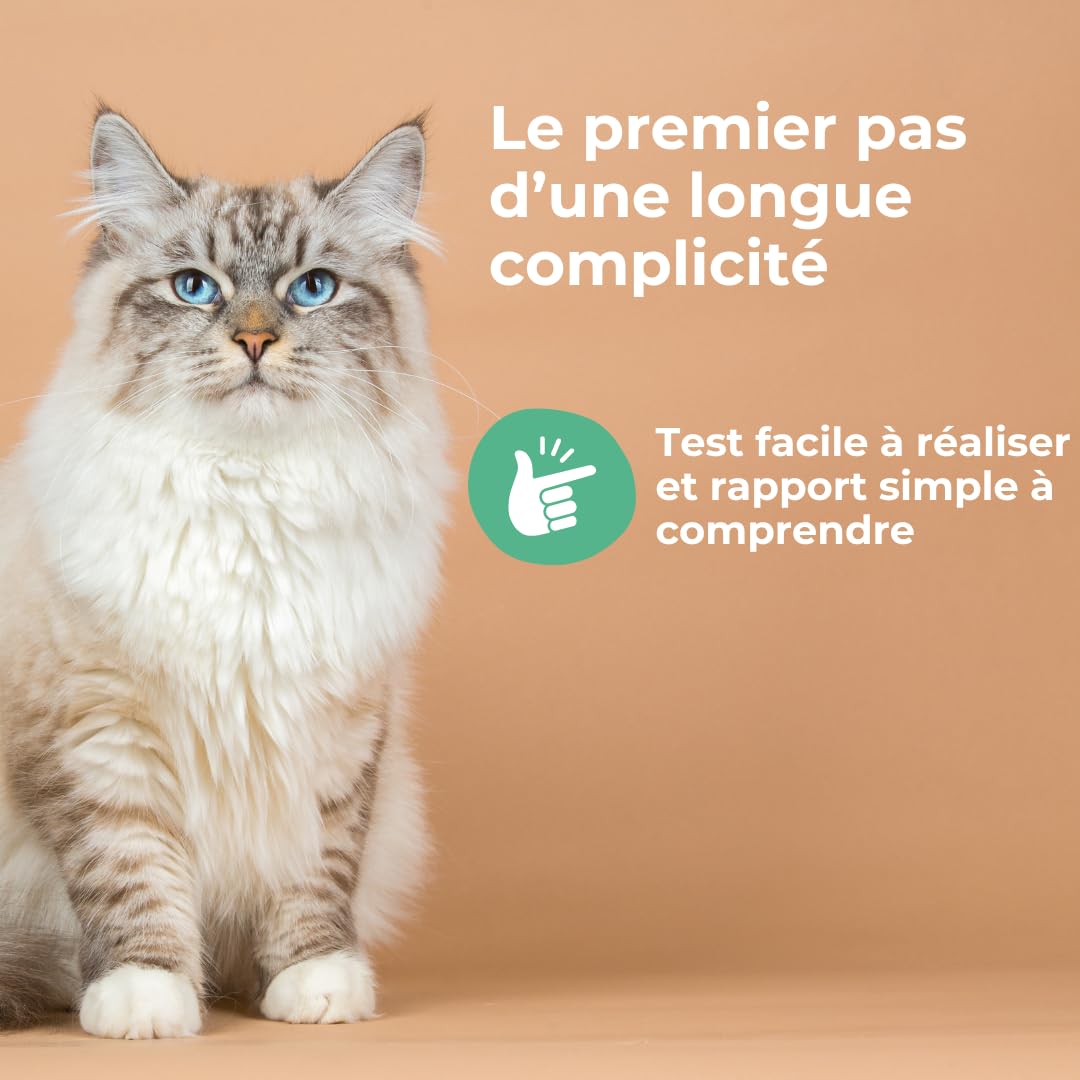 Felome Genetic Assessment for Cat DNA Test for 56 Genetic Diseases and 31 Traits - Blood Type and Drug Sensitivity - Image 2