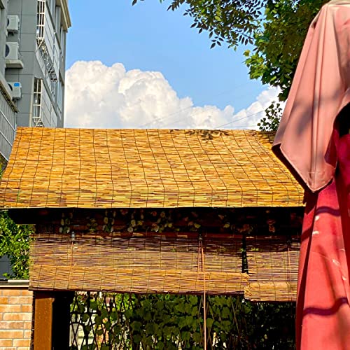 Sunscreen Roller Blind For Windows Patio Balcony Outdoor, Cordless Roll Up Shades Waterproof Roman Curtain, Easy To Install, Privacy Protection, Light Blocking #TOP7