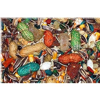 Abba Parrot Food 2025 - Main Image