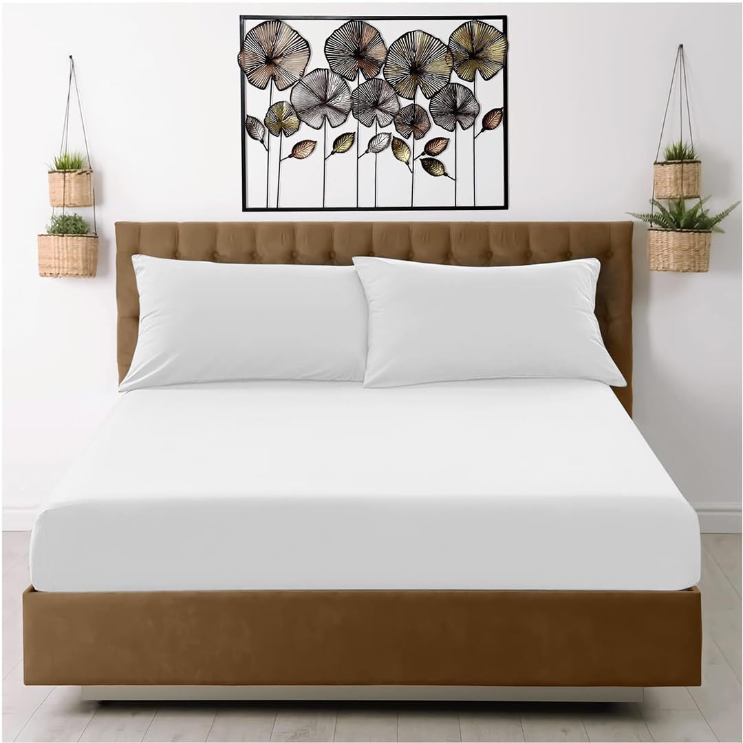 Egypto Bedding White Egypto 16" Plain Dye Deep Fitted Sheet - 40Cm Depth (Double Bed, )