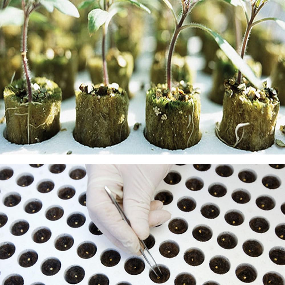 50 Cubi Di Lana Di Roccia Per Coltivazione Idroponica - Spine Radicazione Per Semina E Talee, Promuove Crescita Piante - Foto 8