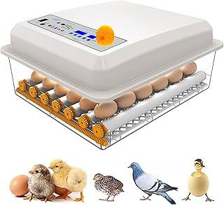 Egg Incubator, 36 Eggs Fully Automatic Poultry Hatcher Machine with Humidity Display, Egg Candler, Temperature Control & Automatic Egg Turner, for Hatching Chickens Quail Duck Goose Turkey
